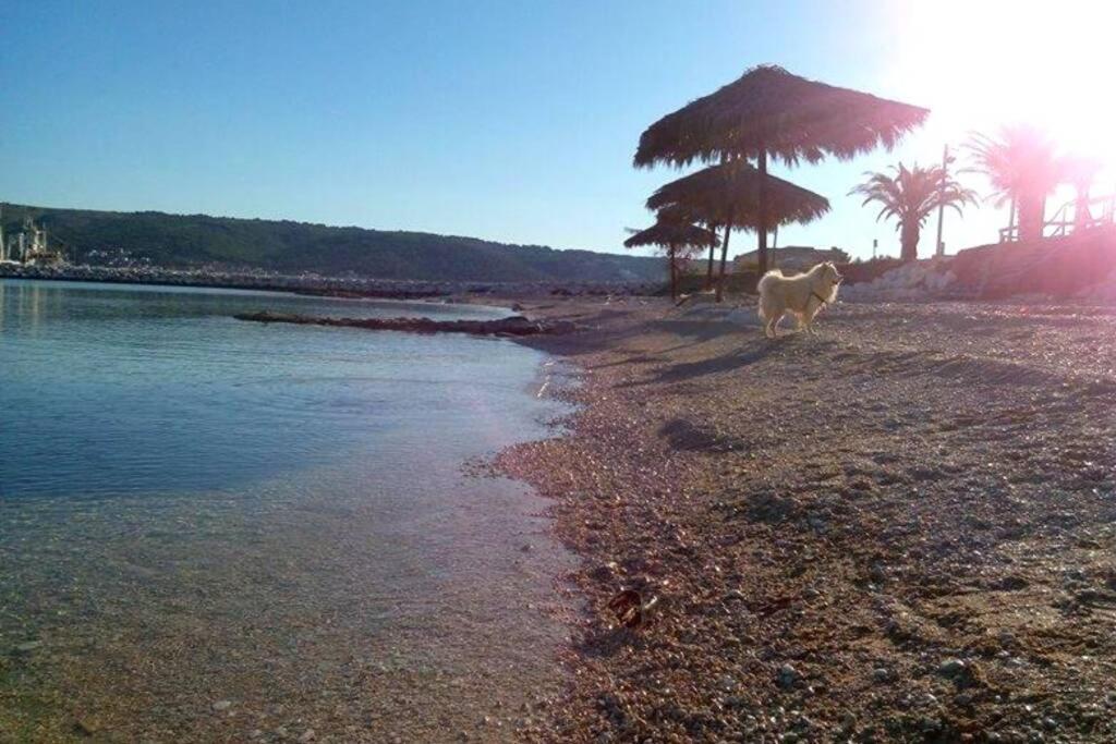 Ap Isabella With Private Pool Apartment Kastela